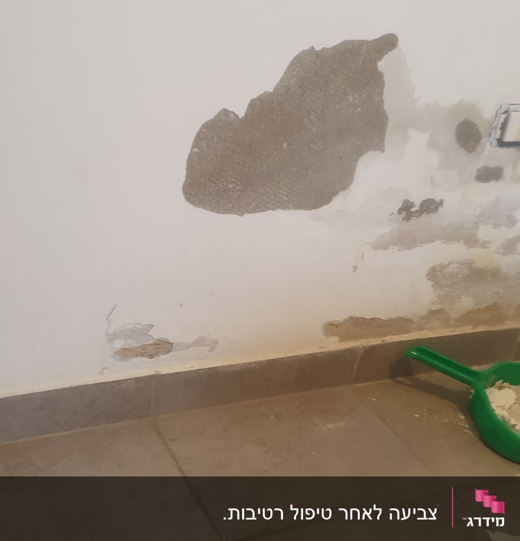 קיר עם טיח מתקלף ויעה ירוק עם שאריות טיח